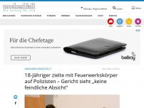 Bild zum Artikel: 18-Jähriger zielte mit Feuerwerkskörper auf Polizisten – Gericht sieht „keine feindliche Absicht“