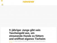 Bild zum Artikel: 9-jähriger Junge gibt sein Taschengeld aus, um streunende Hunde zu füttern und eröffnet eigenes Tierheim