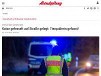 Bild zum Artikel: Vorfall bei Geretsried: Katze gefesselt auf Straße gelegt: Tierquälerin gefasst!