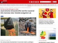 Bild zum Artikel: Um Tiere vor dem Verhungern zu retten - Australische Einsatzkräfte werfen tausend Kilo Gemüse über Waldbrandgebiet ab