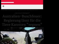 Bild zum Artikel: Für Tiere in Australien