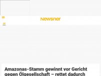 Bild zum Artikel: Amazonas-Stamm gewinnt vor Gericht gegen Ölgesellschaft – rettet dadurch halbe Millionen Hektar Wald