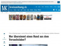 Bild zum Artikel: Wer übernimmt einen Hund aus dem Versuchslabor?