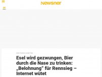 Bild zum Artikel: Esel wird gezwungen, Bier durch die Nase zu trinken: „Belohnung“ für Rennsieg – Internet wütet