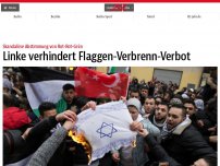 Bild zum Artikel: Linke verhindert Flaggen-Verbrenn-Verbot