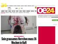 Bild zum Artikel: Sein grausames Herrchen muss 16 Wochen in Haft