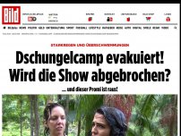 Bild zum Artikel: Alles Überschwemmt - Dschungelcamp evakuiert! Wird die Show abgebrochen?