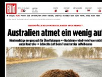 Bild zum Artikel: Regenfälle helfen beim Löschen der Buschbrände - Australien atmet ein wenig auf