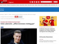 Bild zum Artikel: Krefeld - Comedian über Krefelder Zoo-Katastrophe: Felix Lobrecht: „Affen brennen richtig gut'