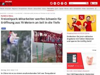 Bild zum Artikel: Vorfall in China - Freizeitpark-Mitarbeiter werfen Schwein für Eröffnung aus 70 Metern an Seil in die Tiefe