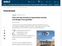 Bild zum Artikel: Dann wird das Schwein im Superhelden-Kostüm vom Bungee-Turm geschubst