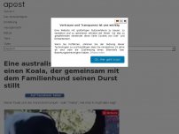 Bild zum Artikel: Eine australische Frau filmt einen Koala, der gemeinsam mit dem Familienhund seinen Durst stillt