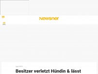 Bild zum Artikel: Besitzer verletzt Hündin & lässt sie blutend in Badewanne liegen