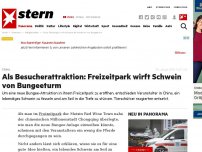 Bild zum Artikel: China: Als Besucherattraktion: Freizeitpark wirft Schwein von Bungeeturm