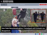 Bild zum Artikel: Kein Fake! Besucherattraktion: Freizeitpark wirft Schwein von Bungeeturm