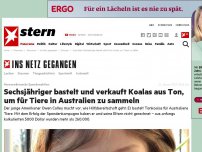 Bild zum Artikel: Herzerwärmende Spendenaktion: Sechsjähriger bastelt und verkauft Koalas aus Ton, um für Tiere in Australien zu sammeln