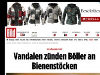 Bild zum Artikel: 13 Völker tot - Vandalen zünden Böller an Bienenstöcken