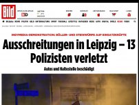 Bild zum Artikel: Steinwürfe auf Einsatzkräfte - Sechs verletzte Polizisten bei Demo in Leipzig