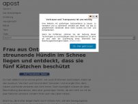 Bild zum Artikel: Frau aus Ontario sieht streunende Hündin im Schnee liegen und entdeckt, dass sie fünf Kätzchen beschützt