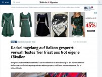 Bild zum Artikel: Dackel tagelang auf Balkon gesperrt: verwahrlostes Tier frisst aus Not eigene Fäkalien