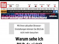 Bild zum Artikel: Wirtin lädt ein - Hier kommt der Waschbär in den Topf