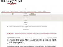 Bild zum Artikel: Mitglieder von AfD-Nachwuchs nennen sich „Höckejugend“