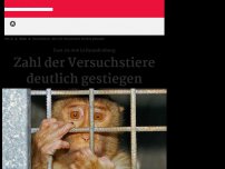 Bild zum Artikel: Zahl der Versuchstiere deutlich gestiegen