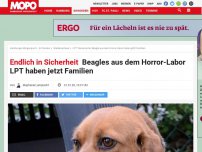 Bild zum Artikel: Endlich in Sicherheit: Beagles aus dem Horror-Labor LPT haben jetzt Familien