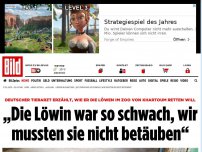 Bild zum Artikel: Löwen im Zoo von Khartoum - „Löwin brauchte keine Narkose, weil sie so schwach war“