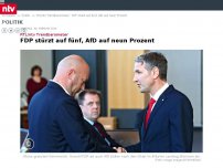 Bild zum Artikel: RTL/ntv-Trendbarometer: FDP stürzt auf fünf, AfD auf neun Prozent