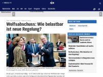 Bild zum Artikel: Bundesrat erleichtert Abschuss von Wölfen