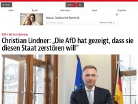 Bild zum Artikel: Christian Lindner: „Die AfD hat gezeigt, dass sie diesen Staat zerstören will“