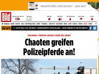 Bild zum Artikel: Trommel-Terror bei Demo - Chaoten greifen Polizeipferde an!