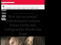 Bild zum Artikel: Projektil verfehlt Hirn knapp