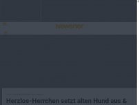 Bild zum Artikel: Herzlos-Herrchen setzt alten Hund aus & klebt seine Augen zu, damit er nicht zurück nach Hause findet
