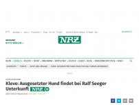 Bild zum Artikel: Glückliches Ende: Kleve: Ausgesetzter Hund findet bei Ralf Seeger Unterkunft
