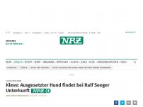 Bild zum Artikel: Glückliches Ende: Kleve: Ausgesetzter Hund findet bei Ralf Seeger Unterkunft