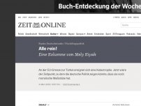 Bild zum Artikel: Flüchtlingspolitik: Alle rein!