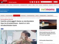 Bild zum Artikel: Herzzerreißender Abschied - Familie schmuggelt Katze zu sterbendem Opa ins Krankenhaus - damit er sich verabschieden kann