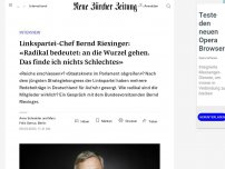 Bild zum Artikel: Linkspartei-Chef Bernd Riexinger: «Radikal bedeutet: an die Wurzel gehen. Das finde ich nichts Schlechtes.»