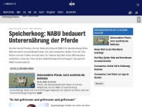 Bild zum Artikel: Speicherkoog: Kreis bestätigt sieben tote Pferde