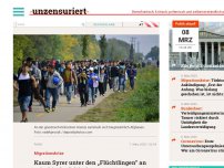 Bild zum Artikel: Kaum Syrer unter den „Flüchtlingen“ an griechisch-türkischer Grenze