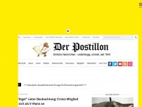 Bild zum Artikel: AfD-'Flügel' unter Beobachtung: Erstes Mitglied bietet sich als V-Mann an