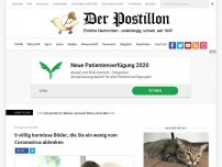 Bild zum Artikel: 9 völlig harmlose Bilder, die Sie ein wenig vom Coronavirus ablenken