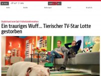 Bild zum Artikel: Ein trauriges Wuff… Tierischer TV-Star Lotte gestorben