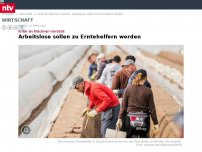 Bild zum Artikel: Kritik an Klöckner-Vorstoß: Arbeitslose sollen zu Erntehelfern werden