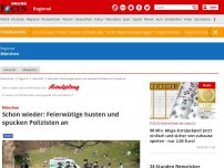 Bild zum Artikel: München - Schon wieder: Feierwütige husten und spucken Polizisten an