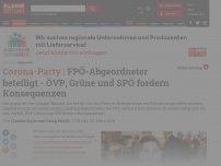 Bild zum Artikel: FPÖ-Landtagsabgeordneter war einer der Beteiligten