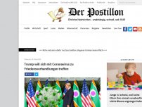 Bild zum Artikel: Trump will sich mit Coronavirus zu Friedensverhandlungen treffen