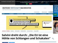 Bild zum Artikel: Salvini dreht durch: „Die EU ist eine Höhle von Schlangen und Schakalen“